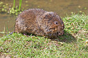 BUITEN BEELD Foto: 181754