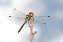 BUITEN BEELD Foto: 182032