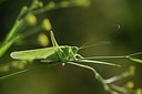 BUITEN BEELD Foto: 182067