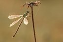 BUITEN BEELD Foto: 182070