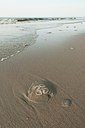 BUITEN BEELD Foto: 182089