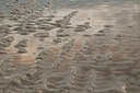 BUITEN BEELD Foto: 182109