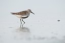 BUITEN BEELD Foto: 182119