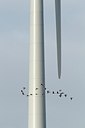 BUITEN BEELD Foto: 182158