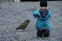 BUITEN BEELD Foto: 182341