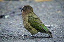 BUITEN BEELD Foto: 182345