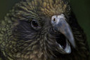 BUITEN BEELD Foto: 182359