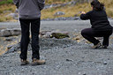 BUITEN BEELD Foto: 182364