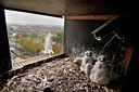 BUITEN BEELD Foto: 182540