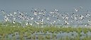 BUITEN BEELD Foto: 182602