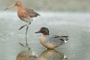 BUITEN BEELD Foto: 182634