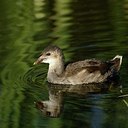 BUITEN BEELD Foto: 182674