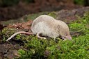 BUITEN BEELD Foto: 182726