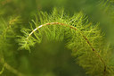 BUITEN BEELD Foto: 182750