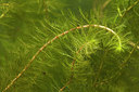BUITEN BEELD Foto: 182753