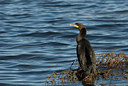 BUITEN BEELD Foto: 182775