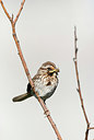 BUITEN BEELD Foto: 182786