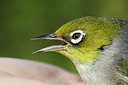 BUITEN BEELD Foto: 182804