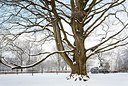 BUITEN BEELD Foto: 182871