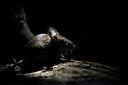 BUITEN BEELD Foto: 182900