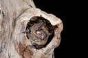 BUITEN BEELD Foto: 182920