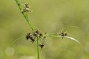 BUITEN BEELD Foto: 182946