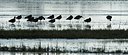 BUITEN BEELD Foto: 182955