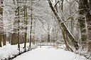 BUITEN BEELD Foto: 183000