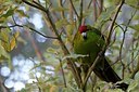 BUITEN BEELD Foto: 183075