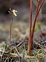 BUITEN BEELD Foto: 183150
