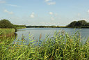 BUITEN BEELD Foto: 183166