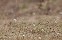 BUITEN BEELD Foto: 183187