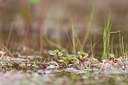 BUITEN BEELD Foto: 183190