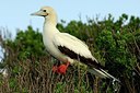 BUITEN BEELD Foto: 183255
