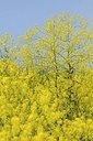BUITEN BEELD Foto: 183316