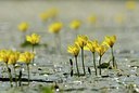 BUITEN BEELD Foto: 183375
