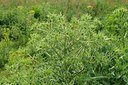 BUITEN BEELD Foto: 183406