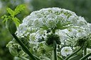 BUITEN BEELD Foto: 183408