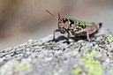 BUITEN BEELD Foto: 183482