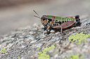 BUITEN BEELD Foto: 183483