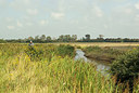 BUITEN BEELD Foto: 183626