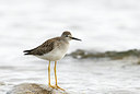 BUITEN BEELD Foto: 183649