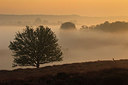 BUITEN BEELD Foto: 183771