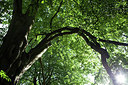 BUITEN BEELD Foto: 183811