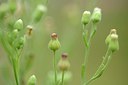 BUITEN BEELD Foto: 183828