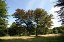 BUITEN BEELD Foto: 183838