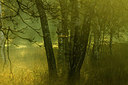 BUITEN BEELD Foto: 183889