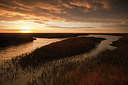 BUITEN BEELD Foto: 183922
