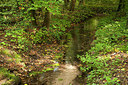 BUITEN BEELD Foto: 183990