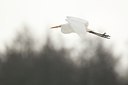 BUITEN BEELD Foto: 184059